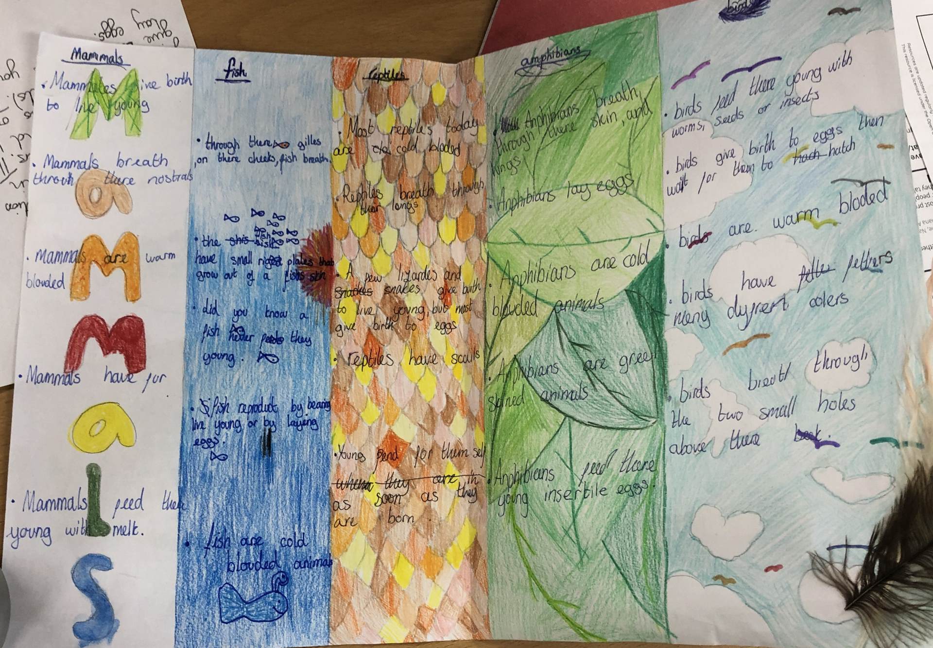 pupil work